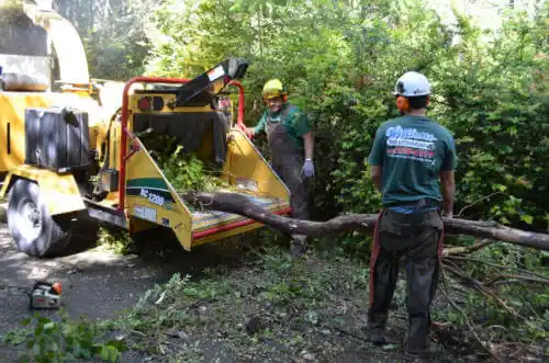 tree services Henryville
